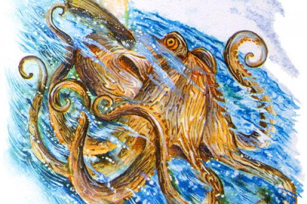 Kraken это современный маркетплейс