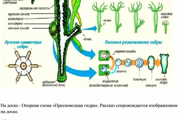 Ссылка на кракен 2krnmarket