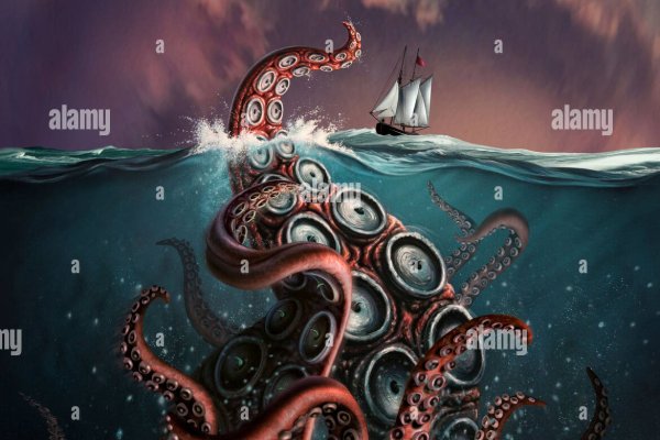 Kraken whitenet kraken whitenet 2n com