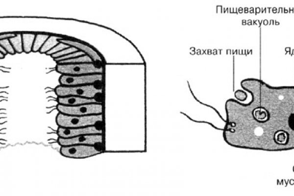 Кракен ссылку где