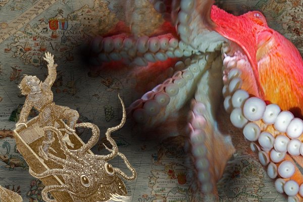 Kraken смылка