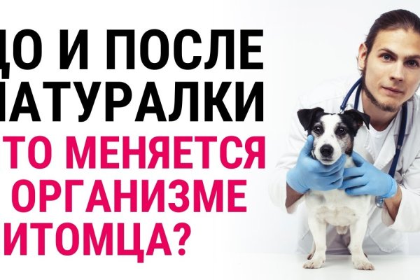 Сайты наркоты