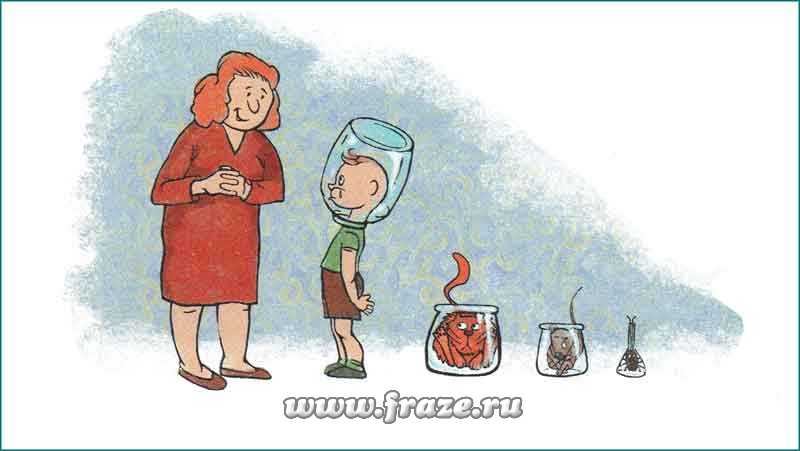 Kraken новая ссылка