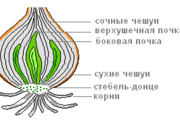 Кракен работает